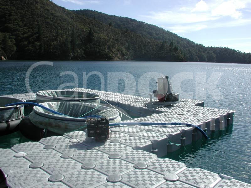Aquaculture-floating-dock-1619